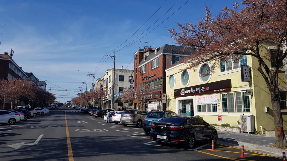 ▣ 관련사진 : 향토음식 특화(테마)거리 전경