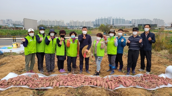 천안시 신방동 행복키움지원단이 16일 직접 생산한 햇고구마 나눔행사를 실시했다. (사진제공=천안시)