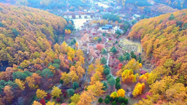 가을을 맞아 웅장한 숲으로 뒤 덮인 휴양림들의 진풍경.