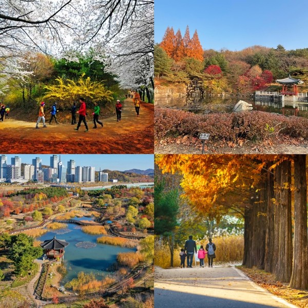 [설특집] “설날, 가족과 함께 가벼운 나들이”... 대전 명소 10선