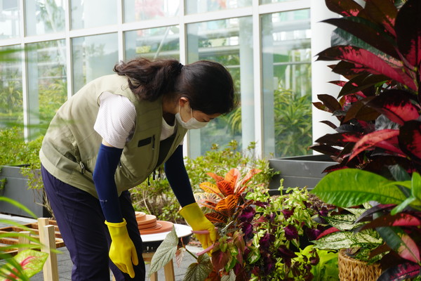 지난해 진행된 대학생 학점인정제 프로그램에서 실습생이 식물을 관리하고 있다