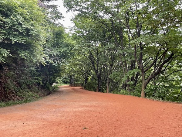 전국적으로 이용객들이 많이 찾고 있는 대전 계족산 황톳길.