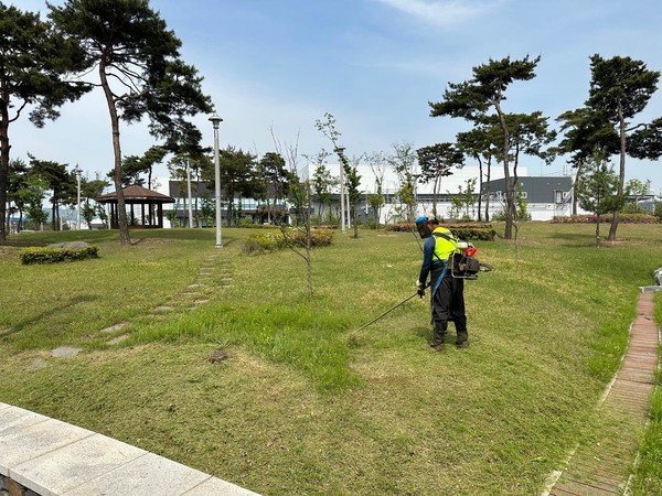 천안시가 성남면 5산단 생활권공원의 잔디깎기 작업을 진행하고 있다. (사진제공=천안시)