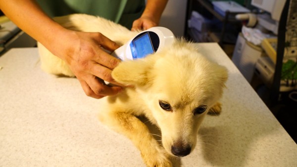 진학사가 2024 수의대 정시 선발에 대해 설명했다. (사진제공=본사DB)