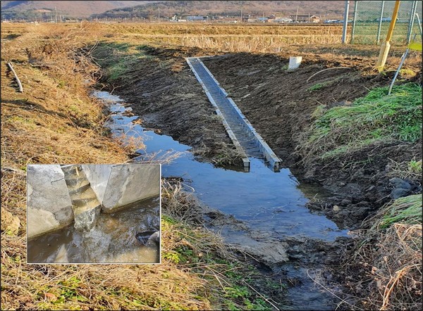 논과 배수로를 연결하여 물고기들이 논으로 이동할 수 있게 돕는 논어도