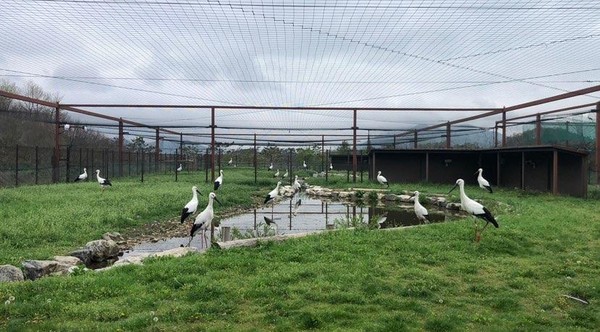 황새의 야생적응을 돕는 예산황새공원 사육시설