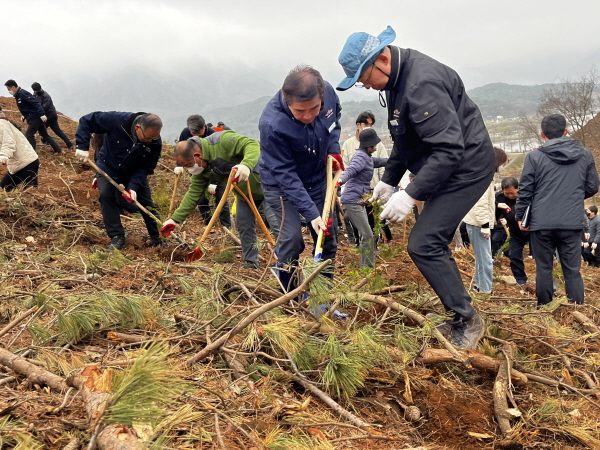제79회 식목일 기념 지난해 산불피해지 야산에 편백나무를 식재중인 김동일 보령시장과 직원들