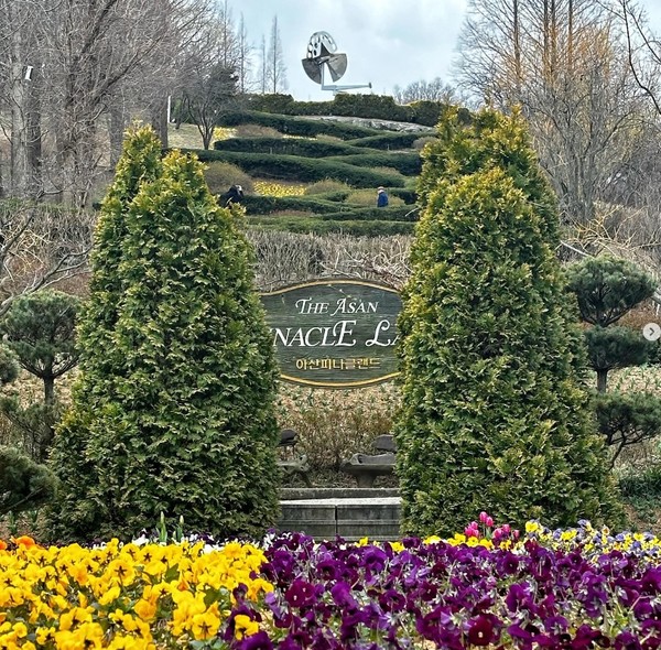 피나클랜드 공식 인스타그램 캡처