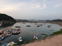 충남실비 이미지