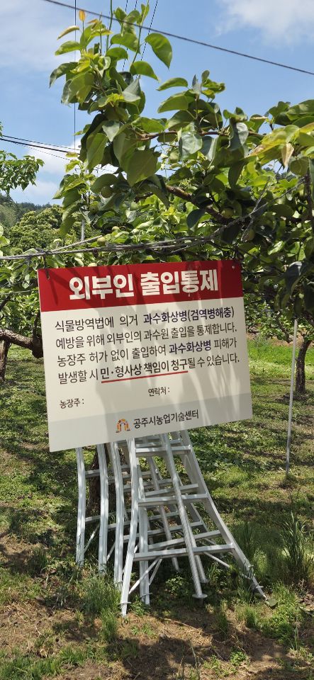 공주시는 최근 인접 지역에서 발생한 과수화상병 확산을 막기 위해 관내 사과·배 재배 농가에 대해 4차 방제약제를 긴급히 추가 공급한다고 20일 밝혔다.(사진제공=공주시 농업기술센터) 