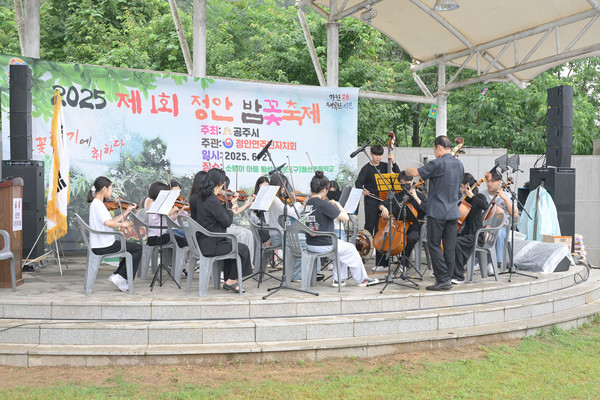 공주시 정안면 주민자치회(회장 김동일)는 지난 주말 정안면의 대표 특산물인 ‘정안밤’을 주제로 한 ‘제1회 정안 밤꽃축제’를 성황리에 개최했다고 24일 밝혔다.(사진제공=정안면)