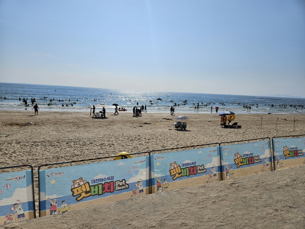 2024년 대천해수욕장 펫비치 운영 장면(사진제공=보령시)
