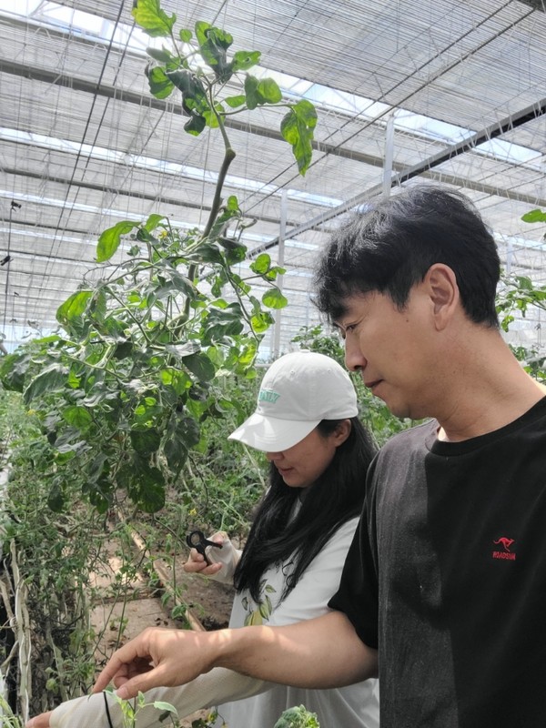 서천군은 귀농인의 안정적인 농촌 정착을 돕기 위해 오는 9월까지 ‘귀농 멘토-멘티 맞춤형 현장교육’을 운영하고 있다.(사진제공=서천군)