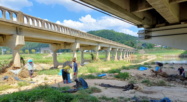 대청호 유입 하천 쓰레기 수거 모습 (사진제공=금산군청)
