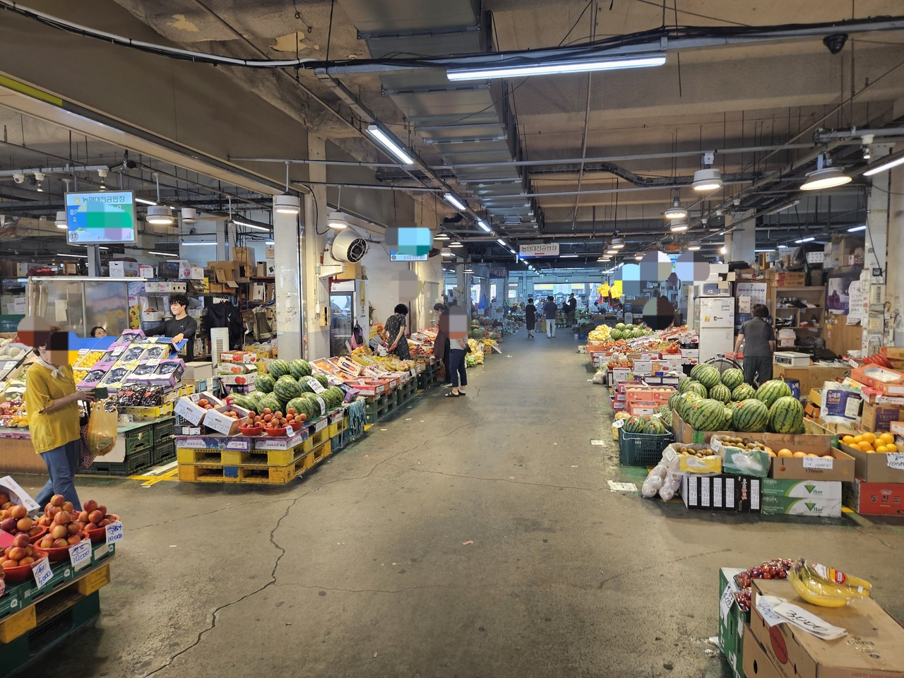 폭우와 폭염이 번갈아 이어진 영향으로 농축산물 가격이 급등하는 기후플레이션이 발생하고 있다.(사진=이승우 기자)