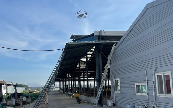 천안시가 드론을 이용해 축사 지붕에 차열페인트를 도포했다. (사진제공=천안시)