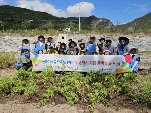 국립생태원은 멸종위기종복원센터가 지난 26일 경상북도 청송군 청송읍 주방천에 멸종위기 야생생물 Ⅱ급인 큰바늘꽃 200개체를 이식했다고 밝혔다.(사진제공=국립생태원)