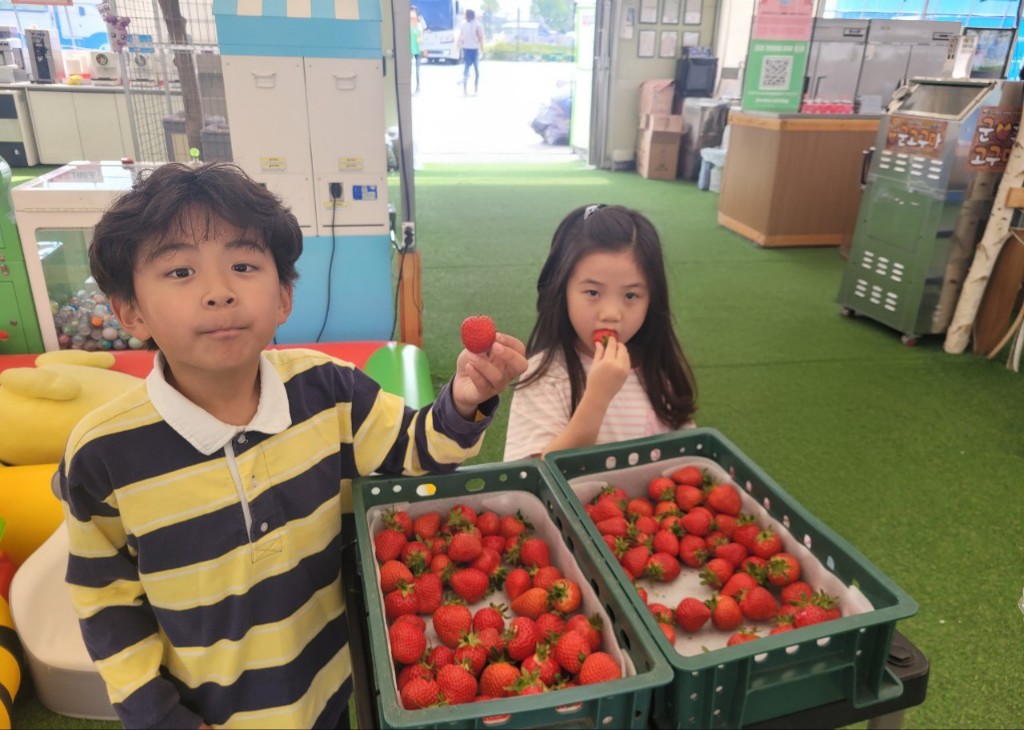 대전전민초 학생들이 현장체험학습을 하는 모습. (사진제공=대전교육청)