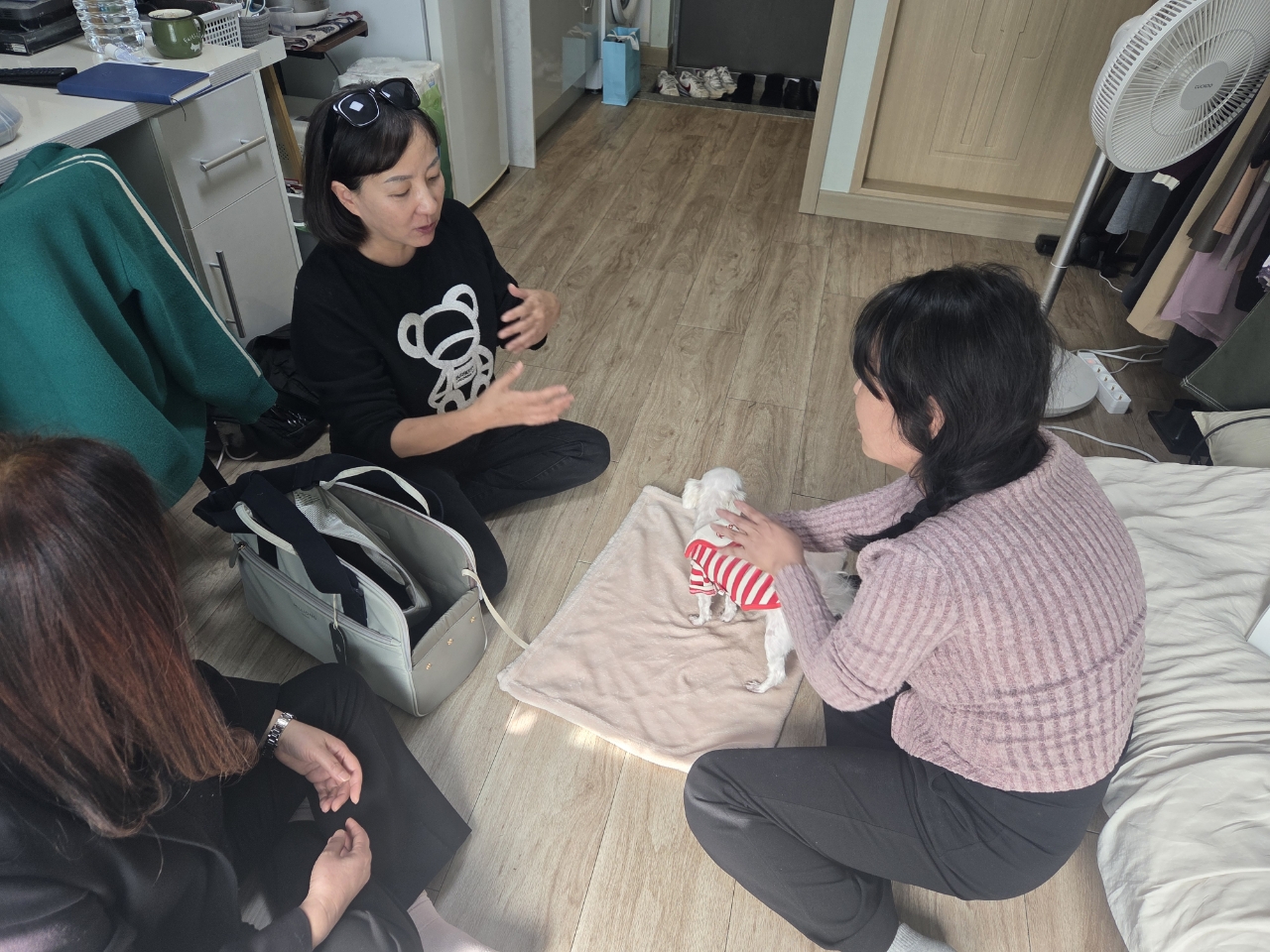 동물 매개 치료사가 ‘반려동물 매개 심리 치료’를 진행하고 있다. (사진제공=대전 유성구)