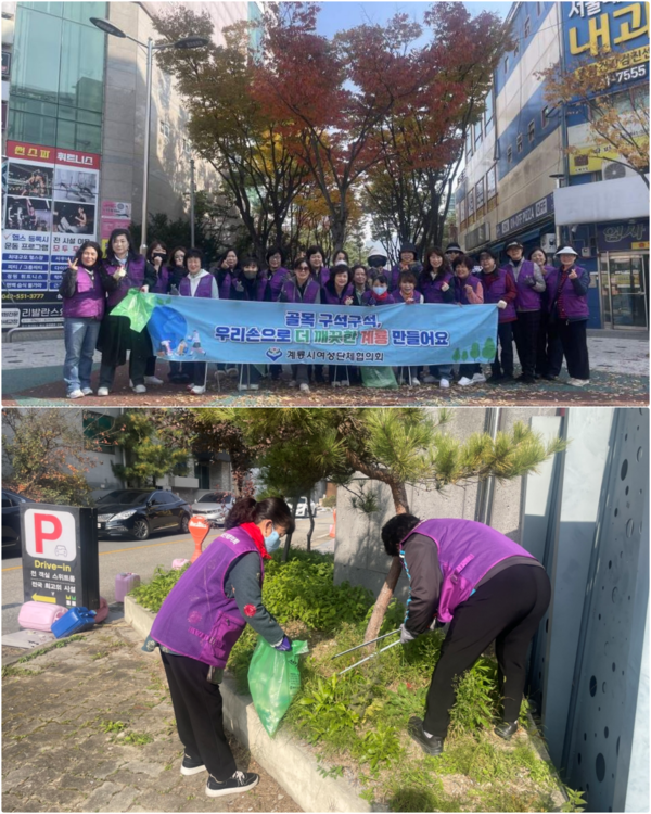 충남 계룡시 여성단체협의회 임원 및 회원 40여명은 6일 엄사면 일원에서 깨끗한 도시 환경 조성을 위해 도로변과 골목길에 버려진 쓰레기를 수거하는 등 국토대청결 운동을 전개했다. 이번 활동은 단순히 환경을 청소하는 것을 넘어 시민들의 환경보호 문화 확산과 지역공동체 의식을 높이는 데 중점을 뒀다.