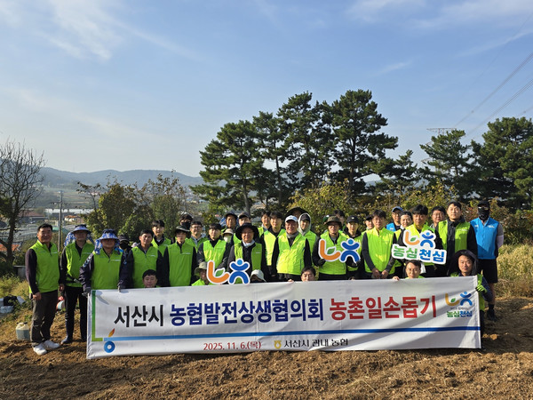 서산시 농협발전상생협의회, 생강 수확현장에서 구슬땀 흘리며 일손 돕기 (사진제공= 농협)