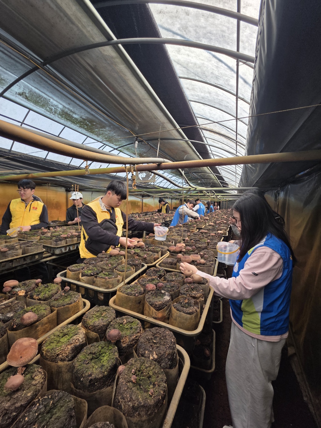 퍼블리코 대전(대전 사회공헌 협의체)과 충남대학교 임직원이 봉사활동을 하고 있다. (사진제공=한국가스기술공사)