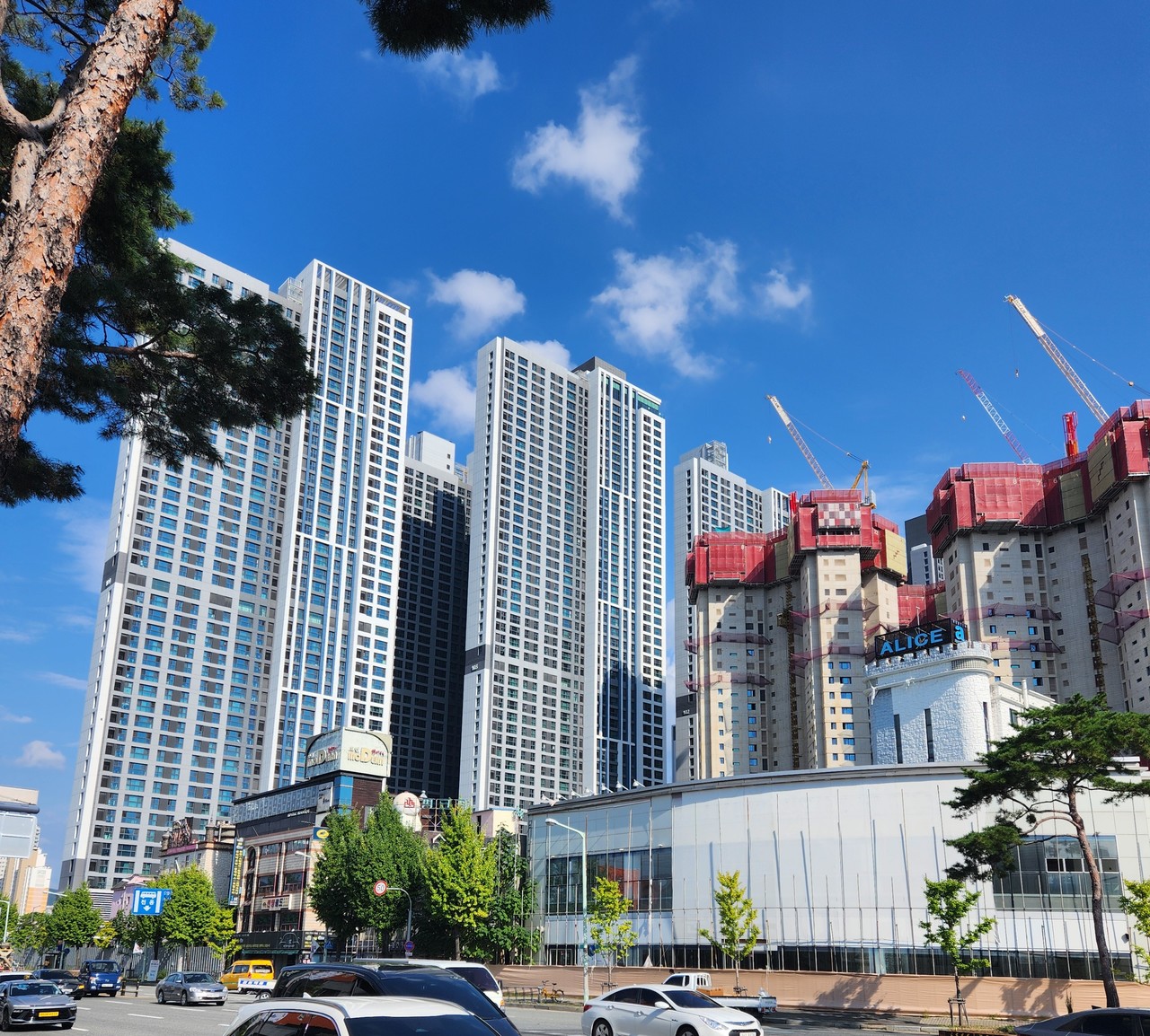 대전선화주택지역조합 사업지 전경. (사진=김현수 기자)