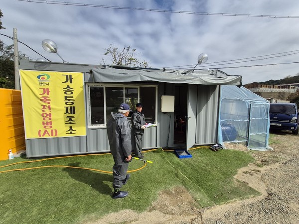 천안 풍서천 일대에서 H5형 조류인플루엔자(AI) 항원이 확인된 가운데 천안시가 인근 가금농가 입구를 통제하고 있다.(사진제공=천안시)