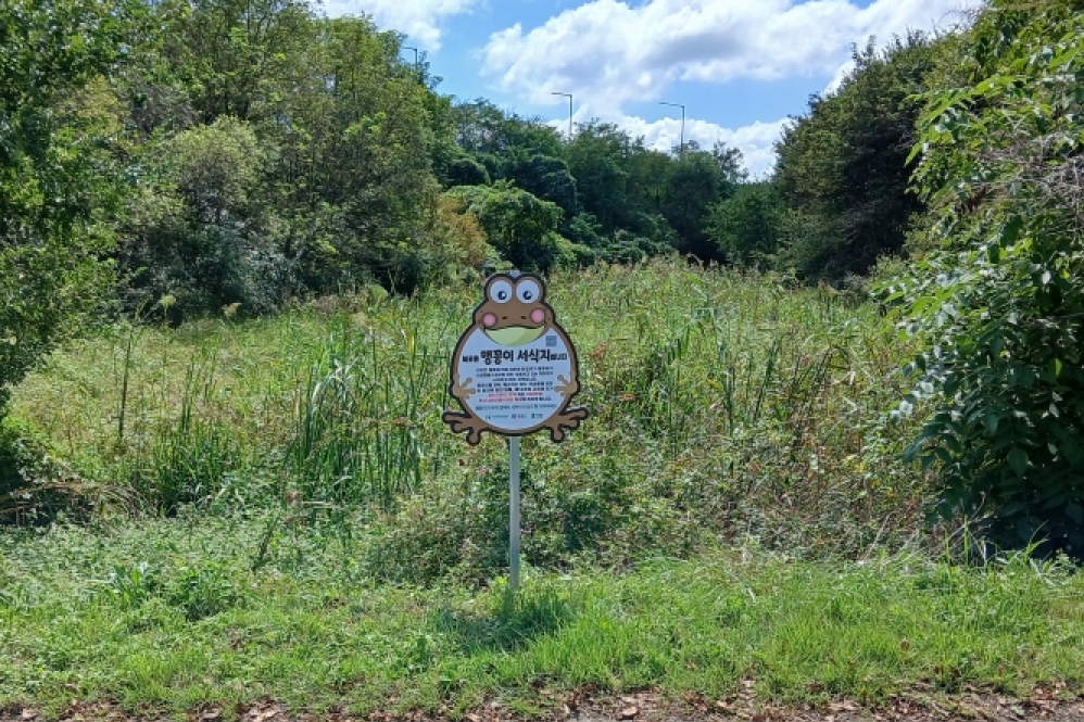 하기동에 설치된 맹꽁이 서식지 표지판. (사진제공=대전 유성구)