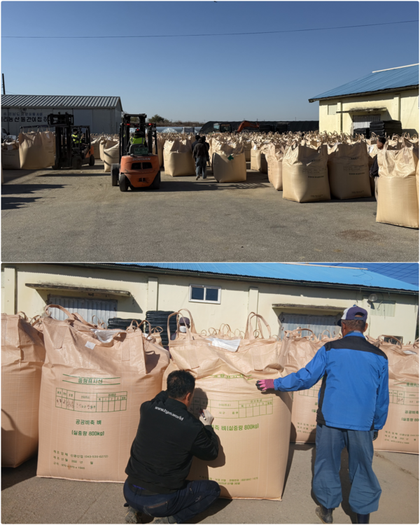 논산시가 10일부터 2025년산 공공비축미곡 사업을 시작했다(사진제공=논산시)