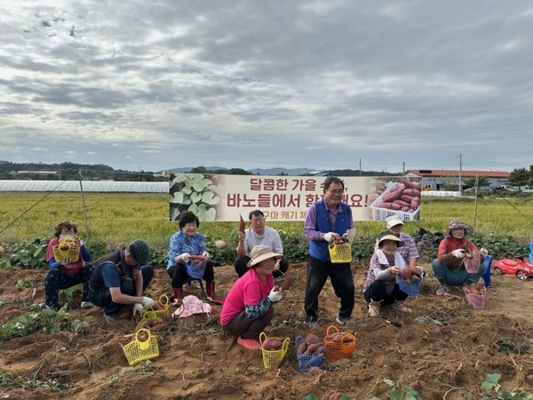 농촌 어르신 복지 생활 실천 시범사업 모습 (사진제공=진천군)