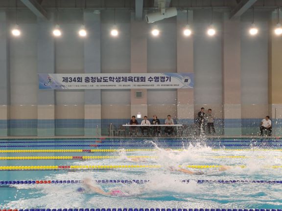 태안교육청, 제34회 충청남도학생체육대회 수영경기 모습   (사진제공=태안교육청)