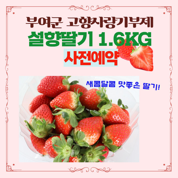 부여군 고향사랑기부제 설향 딸기 출시(사진제공=부여군)