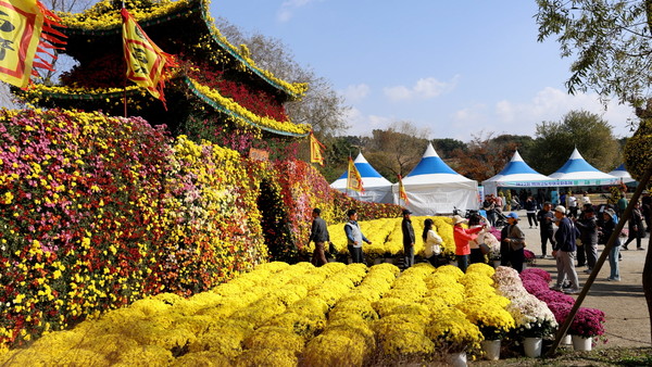 제22회 백제고도부여국화축제(사진 제공=부여군)