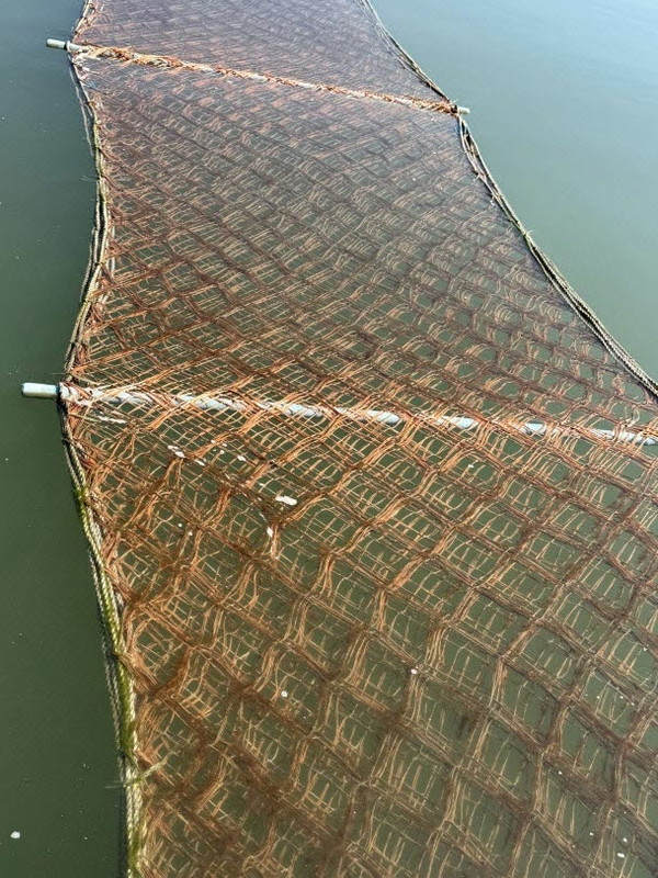 충남 서천군은 최근 관내 해역에서 발생한 김 황백화 피해로 어려움을 겪고 있는 어업인들을 지원하기 위해 총 6억원의 긴급 예산을 투입, 김 영양제 구입 지원 사업을 추진한다고 밝혔다.(사진제공=서천군)