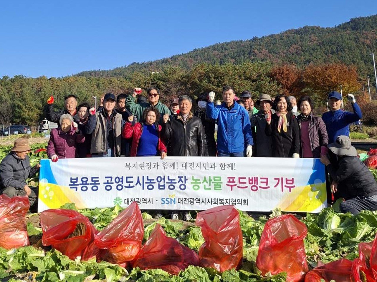 대전시가 14일 공영도시농업농장에서 자원봉사자들과 함께 배추와 무를 수확해 지역의 어려운 이웃들에게 전달했다.(사진제공=대전시)