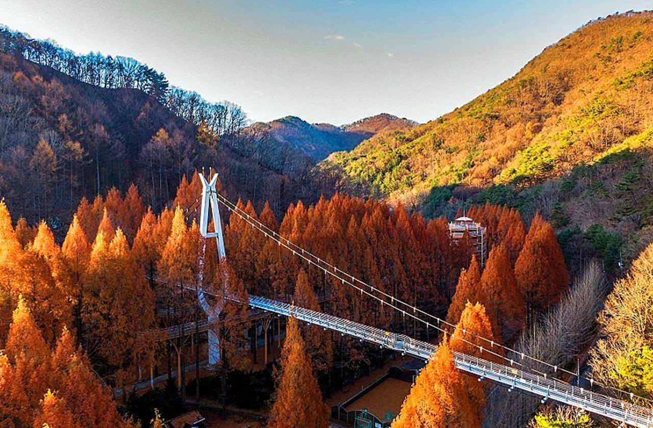 장태산자연휴양림.(사진제공=대전시)