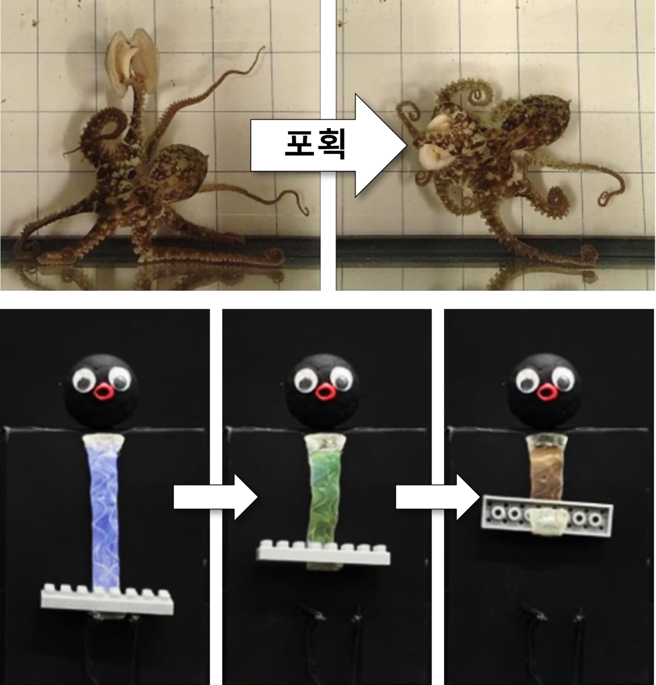 포획 기능을 수행하는 OCTOID의 다리 구현. (사진제공=KIST)