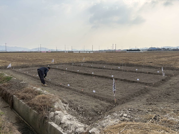 충남 서천군농업기술센터는 축산농가의 사료비 부담을 줄이고 안정적인 자급사료 생산 기반을 확대하기 위해 '사료작물 신품종 자급률 향상 연구사업'을 본격 추진한다.(사진제공=서천군)