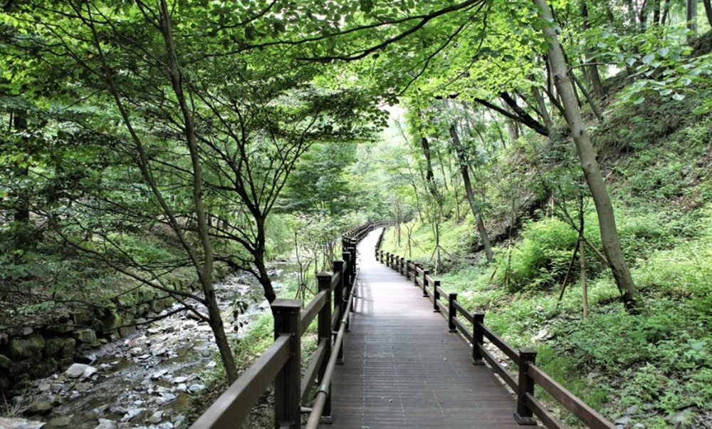 만인산 휴양림 무장애 나눔길.(사진제공=대전시)