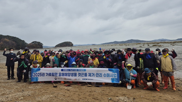 지난 18일 지곡면 도성리, 대요리 일원 갯벌에서 진행된 갯끈풀 제거 작업(사진제공= 서산시)
