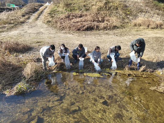국립생태원은 토속어류산업화센터와 함께 11월 18일 군위군 위천 일대에 멸종위기 야생생물 Ⅱ급인 큰줄납자루(학명: Acheilognathus majusculus) 500마리를 공동 방사했다고 밝혔다.(사진제공=국립생태원)