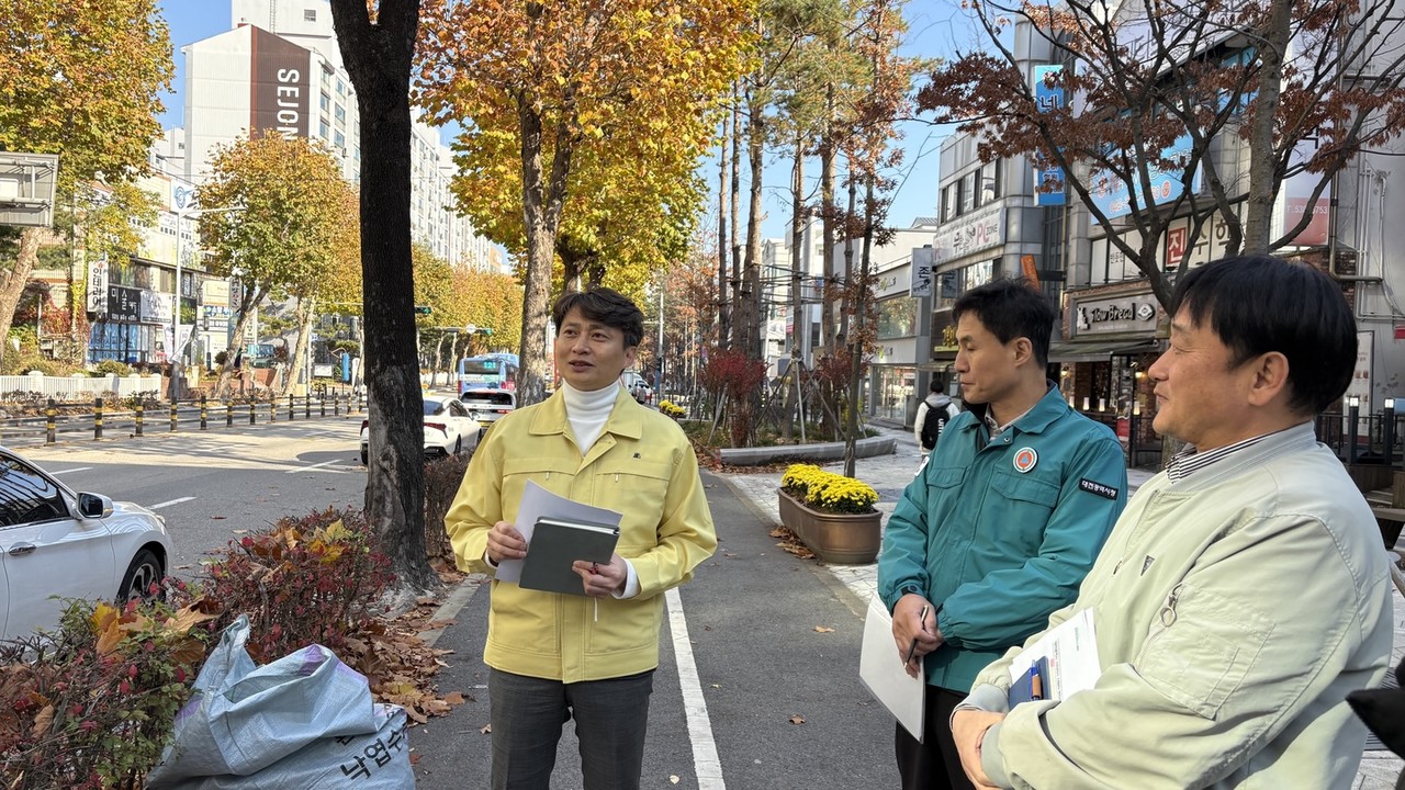산림청이 12월 중순까지 겨울철 가로수 안전점검을 실시한다.(사진제공=산림청)