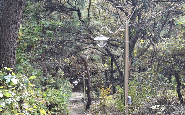 충남 서산시는 산책길 및 가벼운 등산코스로 사랑받고 있는 부춘산 등산로 일원에 보안등 10개를 설치했다고 밝혔다.총사업비 5천만 원이 투입됐으며, 사업 대상은 서광사에서 부춘산 정상에 이르는 구간이다.시는 지난 10월 말부터 공사에 착수해 지난 11월 18일 설치를 완료했다.시 관계자는 “설치된 보안등이 부춘산을 사랑하는 시민들의 안전한 산행에 도움이 되길 바란다”라고 말했다.