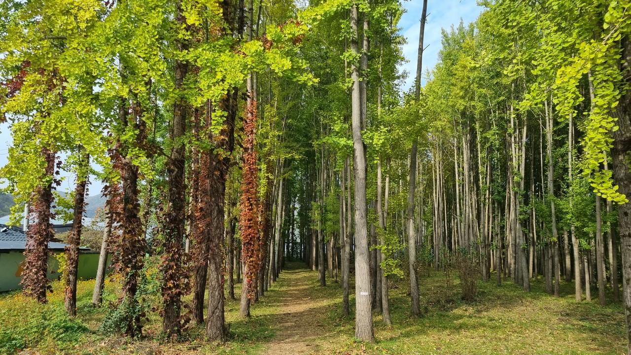 놀숲패스 시범투어 경주 코스 방문지 중 ‘도리마을’ (사진제공=코레일관광개발)
