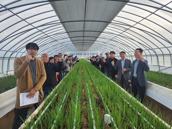  충남 서천군이 추진한 ‘소득작목 양액재배 확대 보급 및 기술 지원 시범사업’이 토경재배의 한계를 극복하고 연 6~8기작이 가능한 주년생산 체계를 확립하며 지역 원예작물 산업 경쟁력 강화에 성과를 내고 있다.(사진제공=서천군)