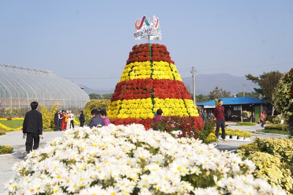 지난 11월 7일부터 16일까지 고북면 일원에서 열린 제25회 서산국화축제(사진제공= 서산시)