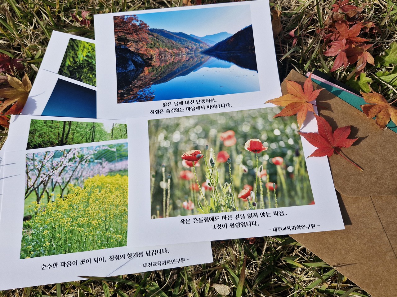 대전교육과학연구원이 제작한 청렴엽서 모습. (사진제공=대전교육청)