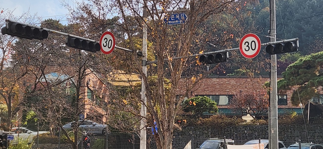 독자가 제보한 현장에서 교통표지판이 가로수에 가려져 있는 모습을 볼 수 있었다. 겨울철이 다가오며 가지만 앙상하게 남은 상태에서도 교통표지판이 잘 보이지 않았고 줌으로 한참 당겨야 그 모습을 볼 수 있었다. 겨울을 제외한 평시에는 나뭇잎 등으로 가려 완전히 보이지 않을 것으로 추측된다. (사진=김현수 기자)