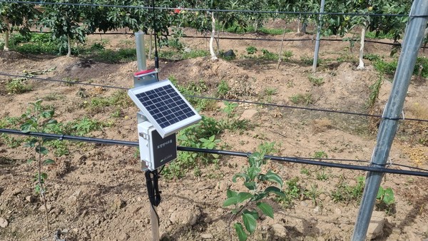 통합 센서 (사진제공=단양군)